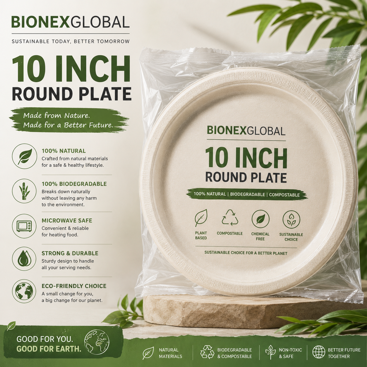 10inch round plate