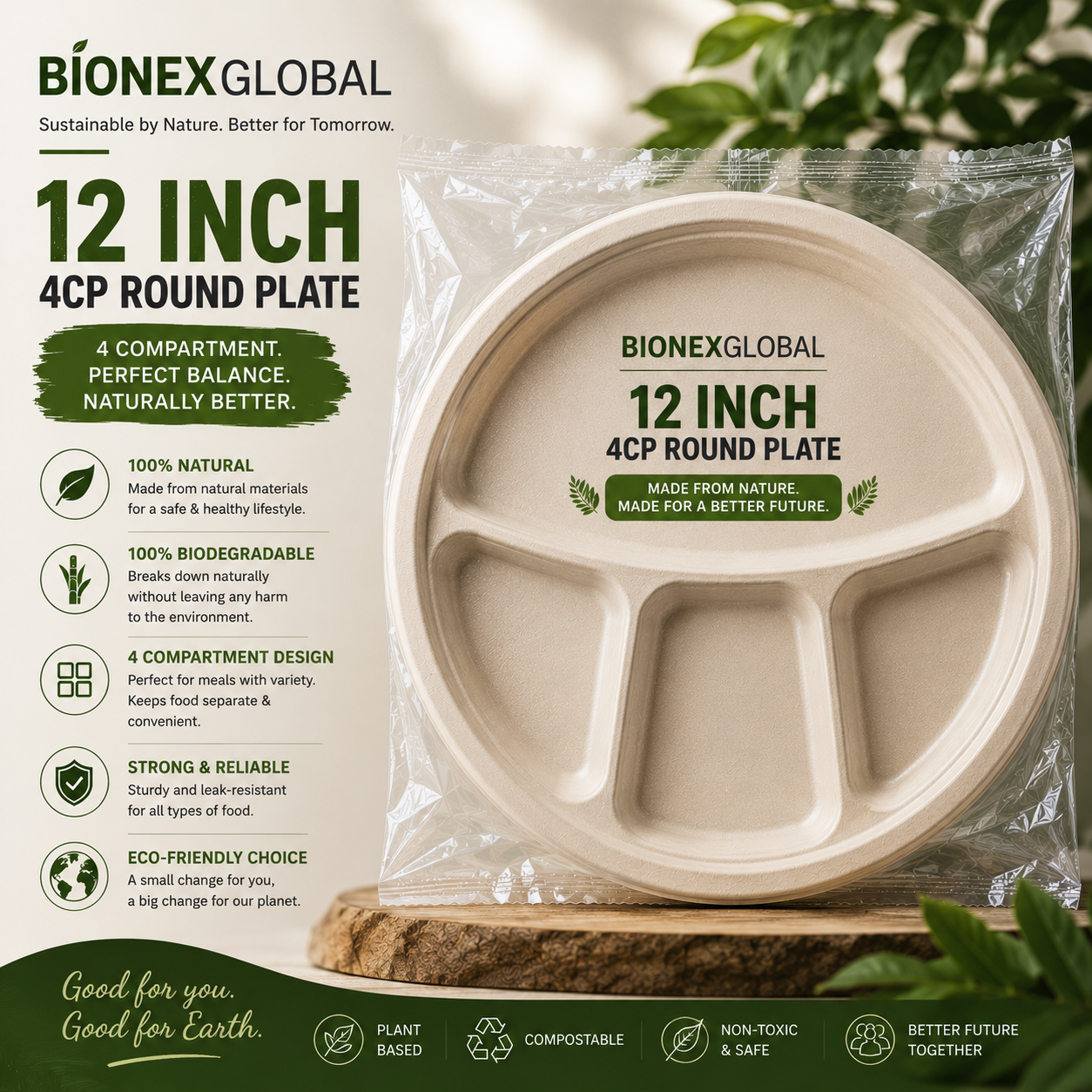 12inch 4cp round plate