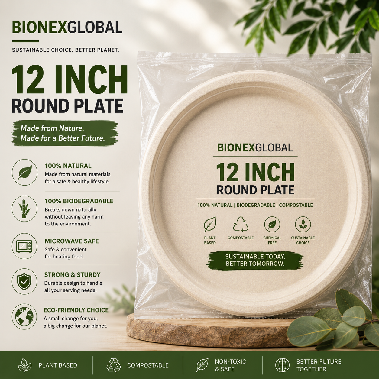 12inch round plate
